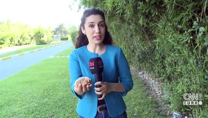 "Ceviz kalbe iyi geliyor"