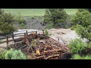 Yellowstone National Park closes entrances evacuates visitors amid