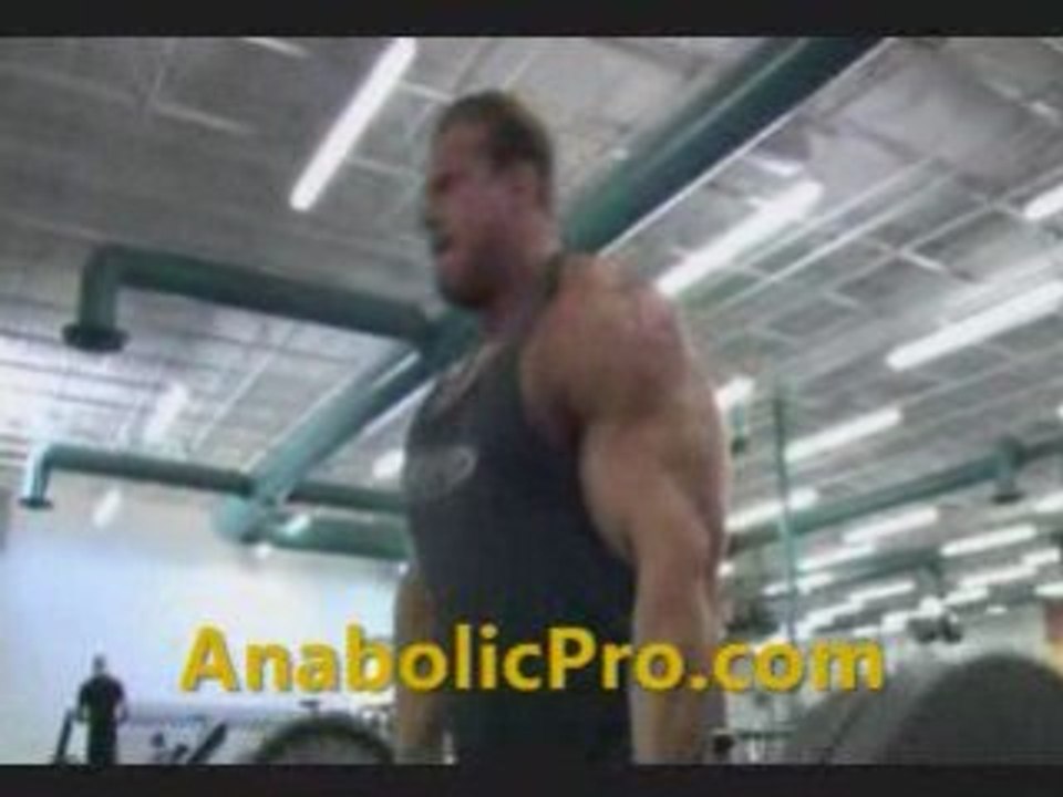 Jay cutler 6