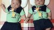 Cute Twin Babies After IVF, Cute Twin Babies shorts {Our stars},  @STAR Fertility - Dr Mandeep Kaur