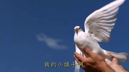 《鴿子》[Gezi] "La Paloma" (*古巴民歌) - 演唱: 劉淑芳 [Liu Shufang]; 鋼琴伴奏: 巫漪麗 [Wu Yili] - 歌詞字幕