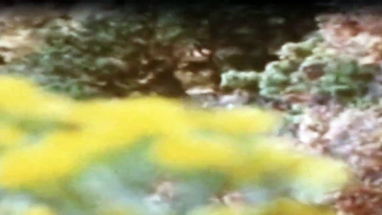 Der Mann in den Bergen Staffel 1 Folge 7 HD Deutsch