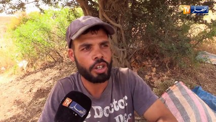 غليزان: إبراهيم ..شاب يتخذ من بيع الأعشاب مصدر رزق له
