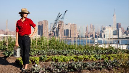 Quels sont les principes de l’agriculture urbaine ?