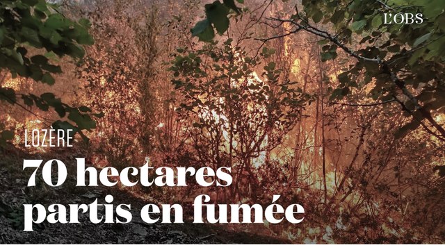 Un incendie consume 70 hectares de forêt dans les gorges du Tarn