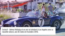 Exposition Johnny Hallyday : Maison reconstituée, voiture... Laeticia a mis le paquet avec ce projet à 12 millions d'euros !