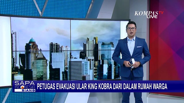 Temuan Ular King Cobra Sembunyi di Bawah Kasur, Warga Seisi Rumah Panik!