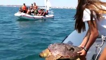 Giornata mondiale delle tartarughe marine, Legambiente in campo