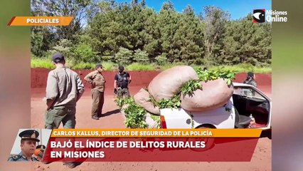 Bajó el índice de delitos rurales en Misiones
