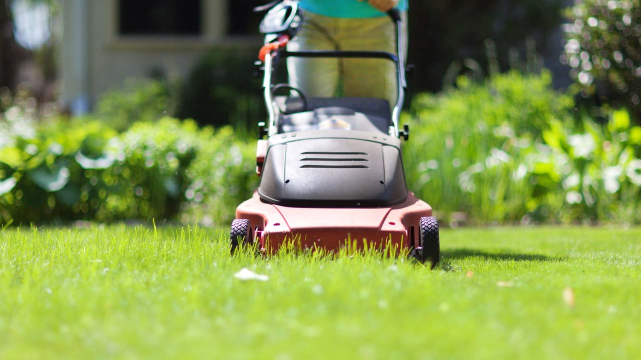 Erlaubt oder verboten? Darf ich sonn- und feiertags Rasen mähen?