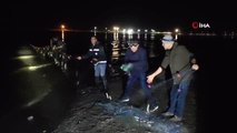 Van'da inci kefali operasyonu: Kurtarılan 240 kilogram canlı balık suya bırakıldı