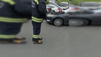 Otomobil motoruna giren yılan uzun uğraşlar sonucu çıkarıldı