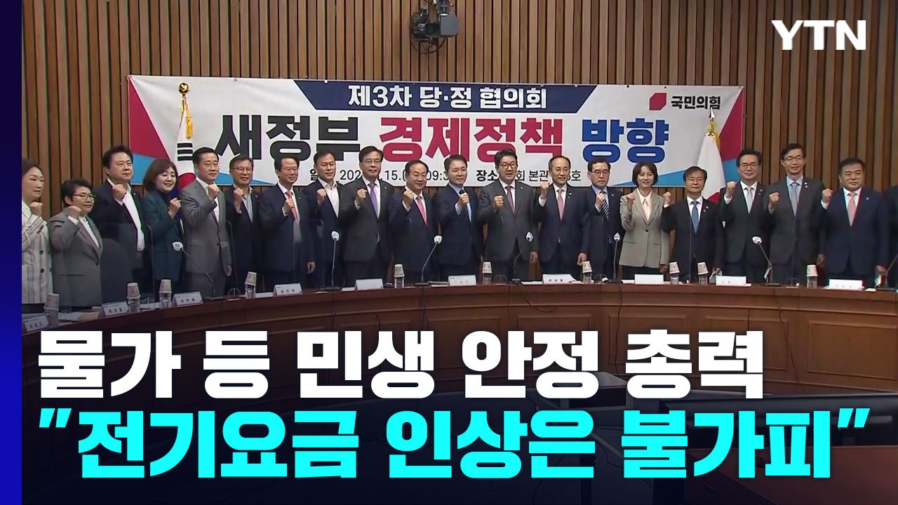 당·정·대, 물가 안정 '총력'..."전기요금 인상은 불가피" / YTN