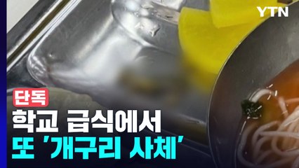 [단독] '죽은 개구리' 고교 급식에서 또 나왔다...이번에도 열무김치 / YTN