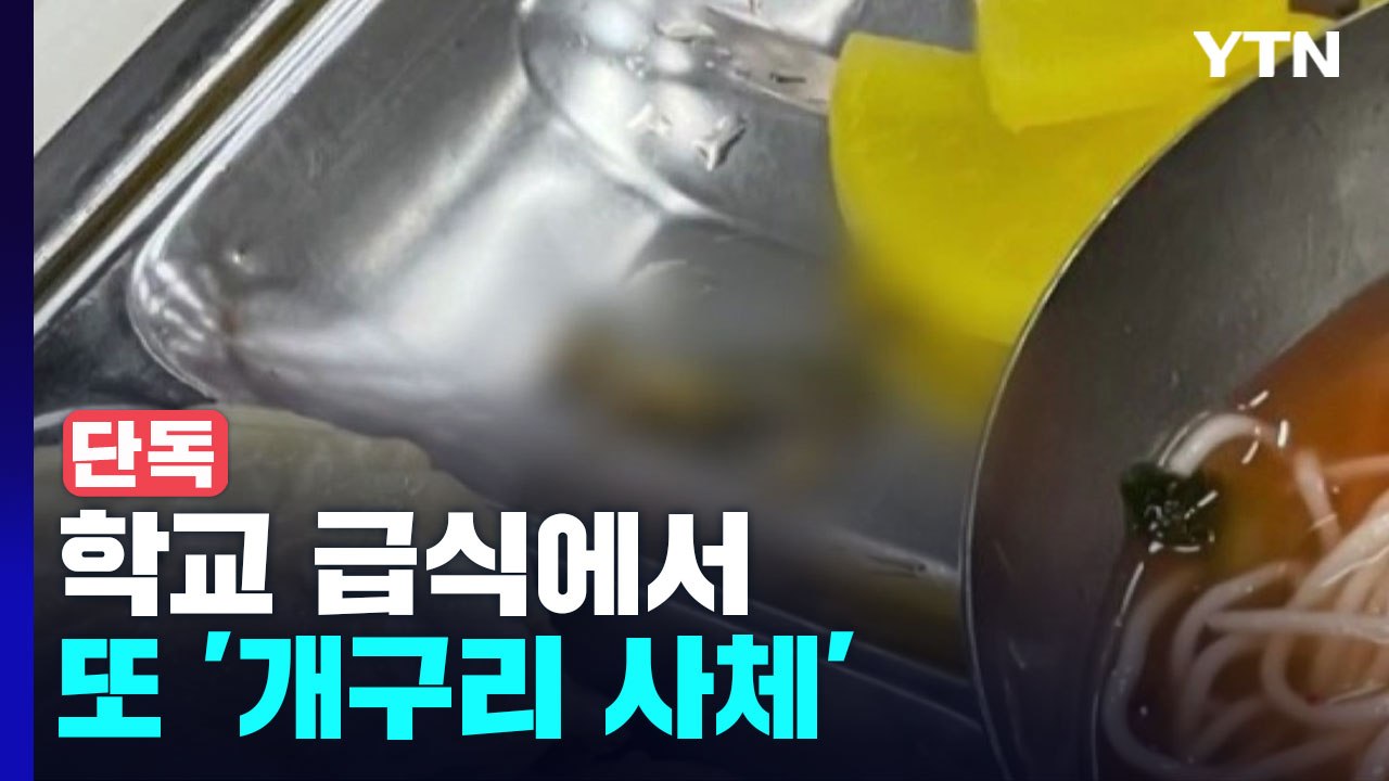 [단독] '죽은 개구리' 고교 급식에서 또 나왔다...이번에도 열무김치 / YTN