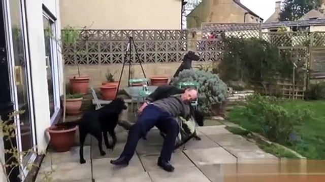 Se cair não vale dar risada