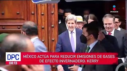 Ahuehuete de Reforma “no está seco”: Sheinbaum