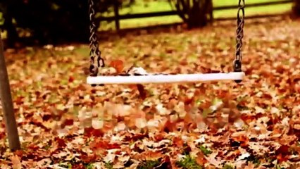 Игорь Янакий  Только мы с тобой