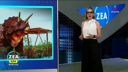 Convierten basurero clandestino en sendero jurásico en Yucatán