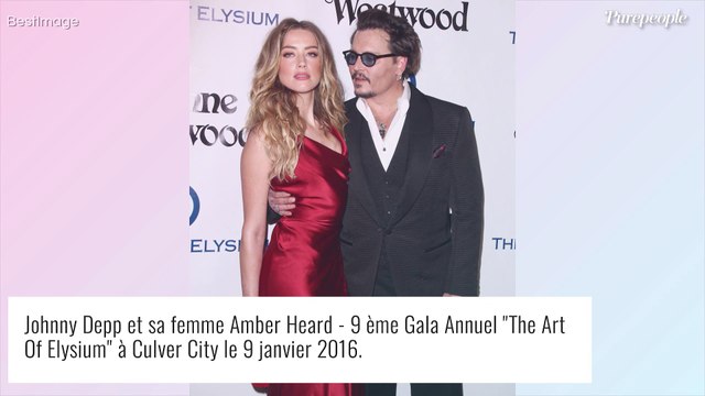 Amber Heard : Après la perte de son procès contre Johnny Depp, l'enfer continue