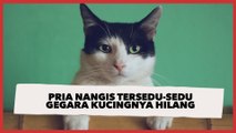 Pria Nangis Tersedu-sedu Gegara Kucingnya Hilang Malah Bikin Berpikir Keras