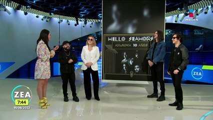 Hello Seahorse! festejará 10 años de "Arunima" con gira musical