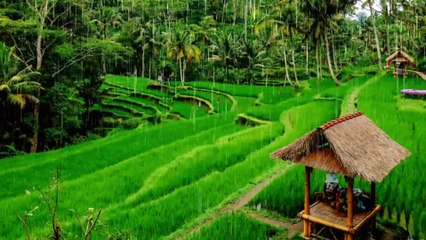 Hujan pengantar tidur | rain sleeping