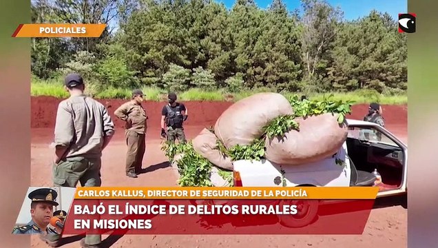 Bajó el índice de delitos rurales en Misiones