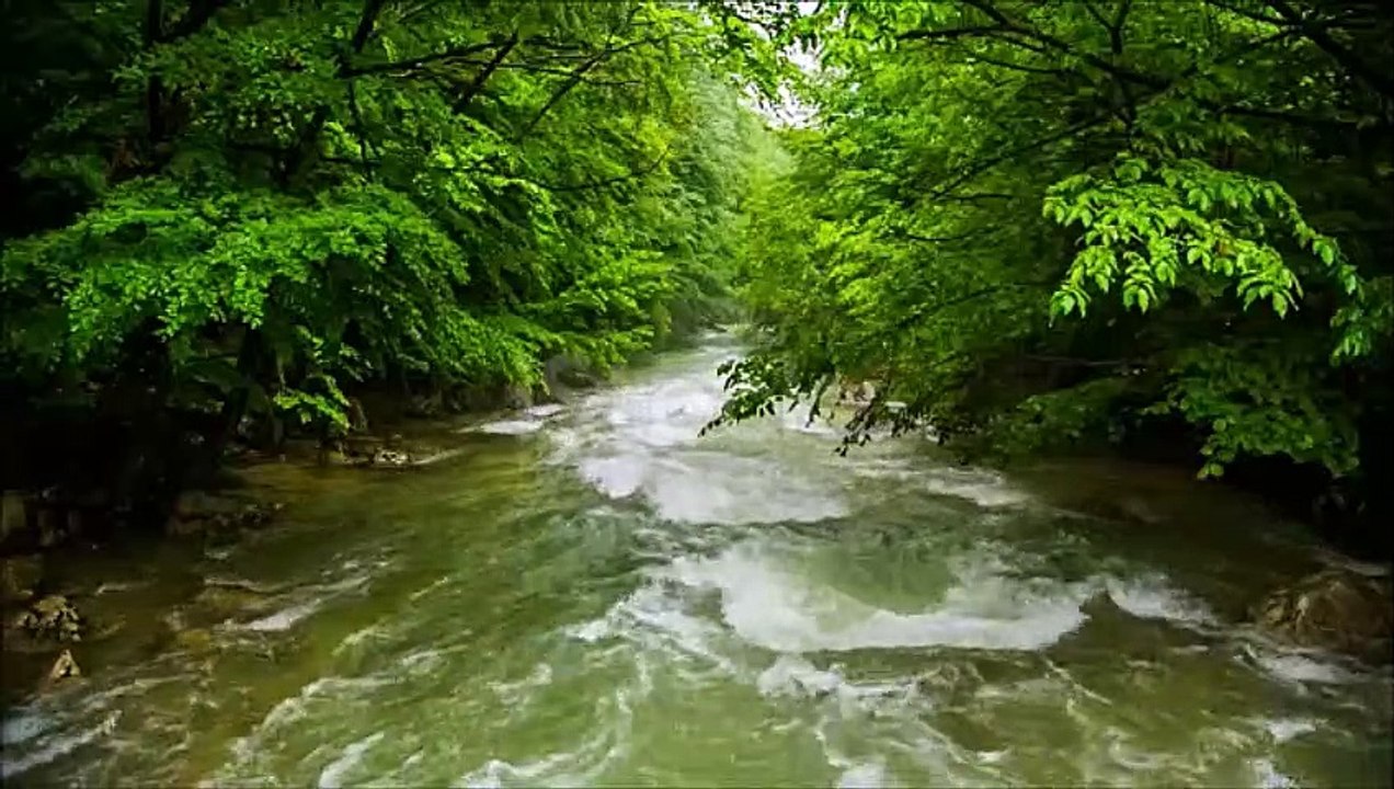 RIVER3