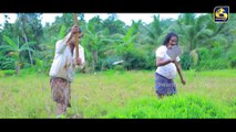 Nadagamkarayo - Episode 366 | Sinhala Teledrama