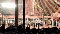 lucky Irani circuses shahkot