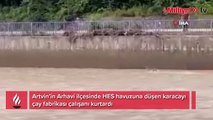 HES havuzuna düşen karaca kurtarıldı