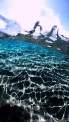 منظر رهيب للشمس تحت المياه | Terrific view of the rays the sun