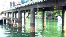 Limitan uso de muelle en Boca de Tomatlán, por peligroso | CPS Noticias Puerto Vallarta