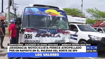 Descargar video: ¡Desgracia! Motociclista perece embestido por bus en bulevar del norte, SPS