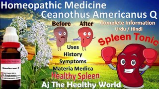 Ceanothus Americanus Q | Spleen Tonic | Homeopathic Medicine | Splenomegaly | Anemia | Urdu /Hindi