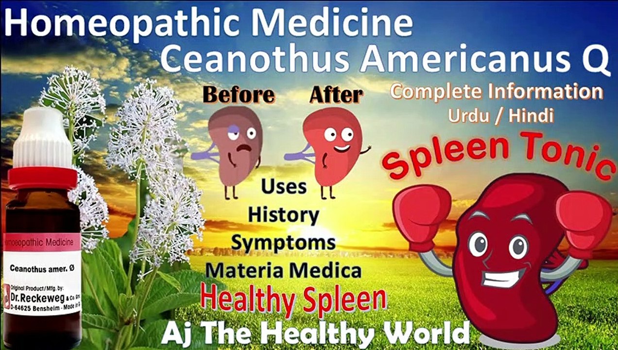 Ceanothus Americanus Q | Spleen Tonic | Homeopathic Medicine | Splenomegaly | Anemia | Urdu /Hindi