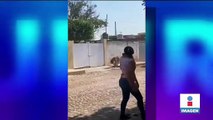 Tigre deambulaba por calles de Nayarit