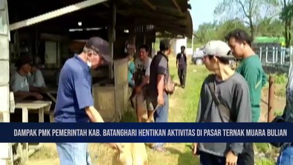 Wabah PMK ditemukan Kabupaten Batanghari Jambi, Pasar Lelang Ternak di Tutup Sementara