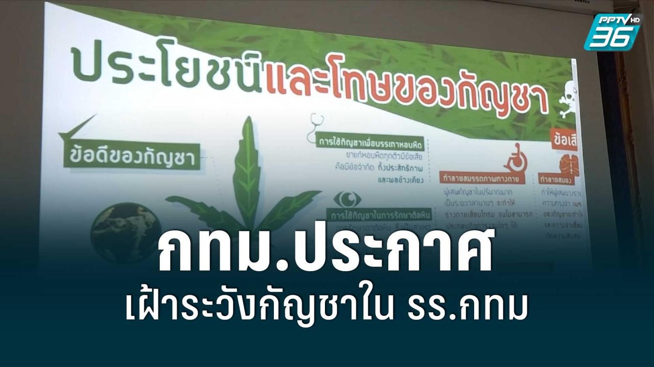 กทม.ประกาศเฝ้าระวังกัญชาใน รร.กทม | โชว์ข่าวเช้...