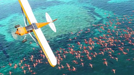 Microsoft Flight Simulator - Trailer zur Game-of-the-Year-Edition zeigt neues Wettersystem