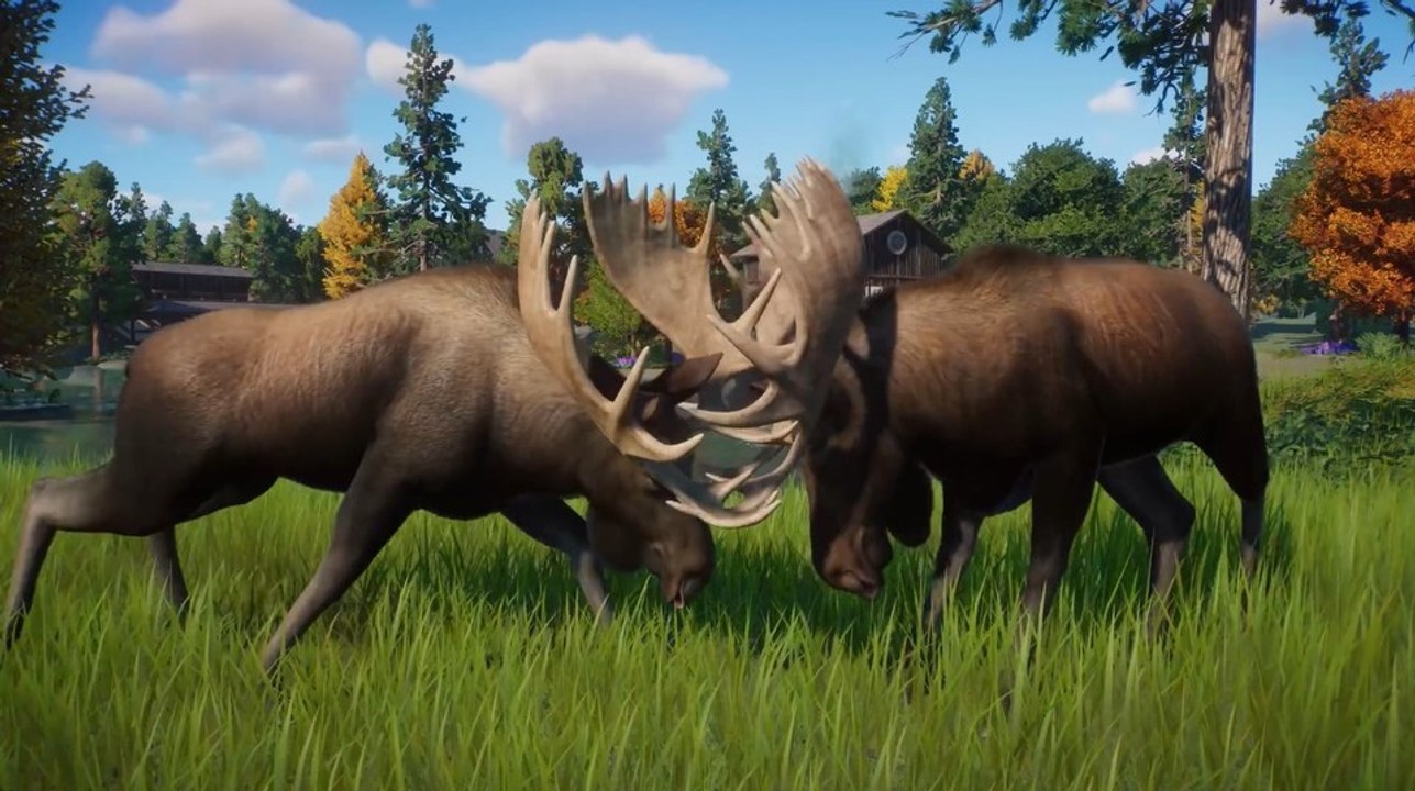 Planet Zoo - Trailer zum Nordamerika-Pack: Elche, Biber und mehr