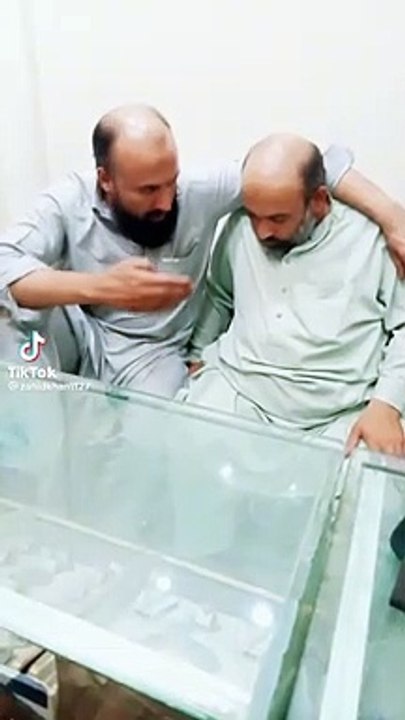 Funny bald