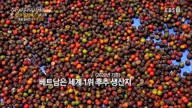 세계테마기행 - 베트남 제대로 즐기기- 반전 있는 시간 여행_#003