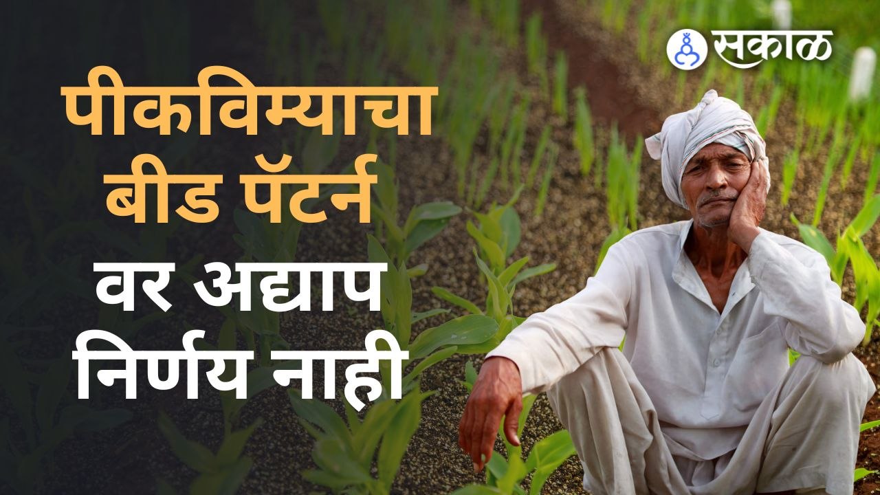 पीकविम्याचा बीड पॅटर्न काय झालं ? |Crop Insurance| Beed Pattern for Crop Insurance | Sakal Media |