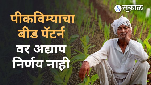 पीकविम्याचा बीड पॅटर्न काय झालं ? |Crop Insurance| Beed Pattern for Crop Insurance | Sakal Media |