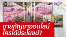 ขายกัญชาออนไลน์ ใครได้ประโยชน์?  : เจาะลึกทั่วไทย (16 มิ.ย. 65)