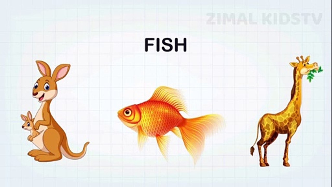Animals | Pre School | Learn English Words (Spelling) Video For Kids and Toddlers