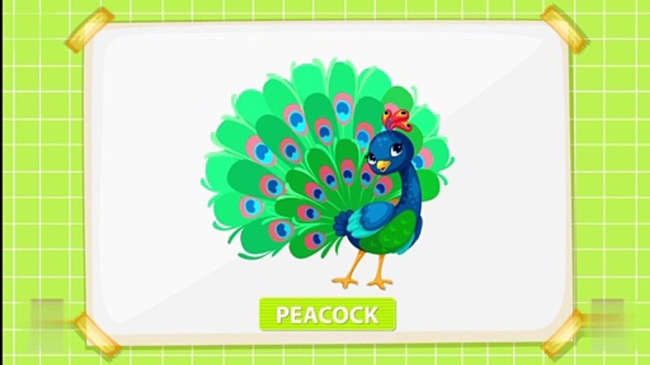 Learn Names Of Birds-Pets-Farm-Wild-Sea-Insects Animals | Pre School Learn English Words (Spelling)