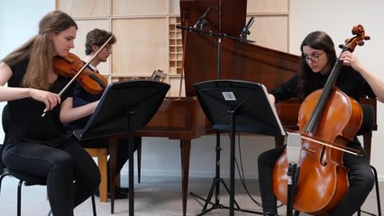 Spinoza Trio - Franciszek Lessel - Trio op.5 - Allegro Brillante - Adagio Rêve